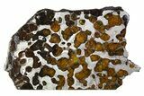 Brenham Pallasite Meteorite ( g) Slice - Kansas #310387-1